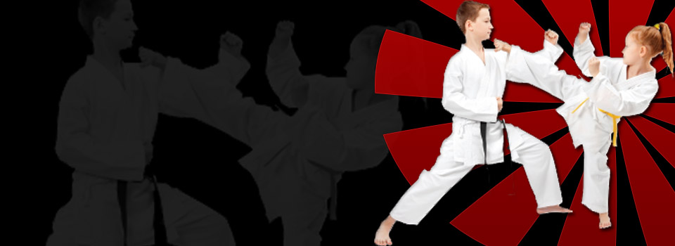 General Taekwondo Class